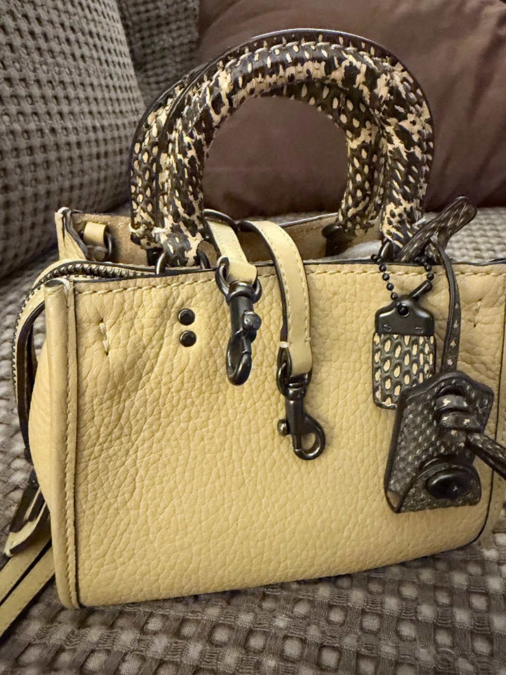 Authentic Coach 1941 Rogue 17 in Hay Yellow with Genuine Snakeskin Trim